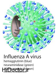 آنفولانزا نوع A را جدی بگیرید