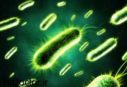 حتی با اسباب کشی هم باکتری ها همراهتان هستند!