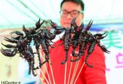 حشرات سیخ زده ،پرطرفدارترین خوراکی های چینی