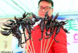 حشرات سیخ زده ،پرطرفدارترین خوراکی های چینی