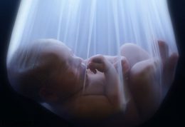 مشکلات مادر و پیدایش عیوب جنسی در جنین