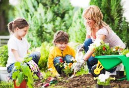 تقویت سلامت و هوش کودک با باغبانی