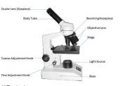 اطلاعاتی راجع به میکروسکوپ