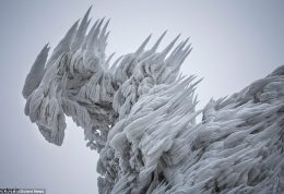 مناظر و مجسمه های یخی زیبای امروز
