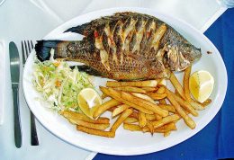 ماهی تیلاپیا و زیانها و فواید آن بر سلامت انسان