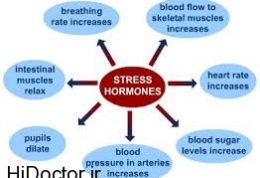 تاثیرات مخرب جسمانی استرس
