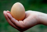 15 شیوه استفاده از تخم مرغ برای پوست و مو