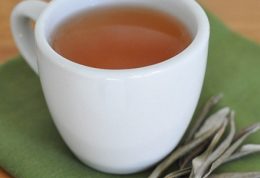 سالمترین چای در جهان – چای زیتون