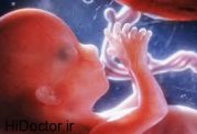 اهمیت تحرک جنین