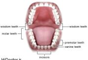 فایده های دندان عقل