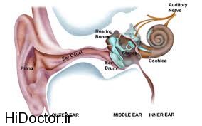 مطالبی مفید در مورد مشکلات شنوایی