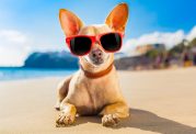 7 راه برای محافظت از چشمان در  تابستان