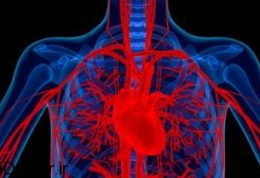 آیا داروهای دیابت برای بیماران قلبی زیان دارد؟