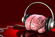 تشخیص صدا توسط مغز