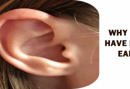 عوامل ایجاد کننده خارش گوش
