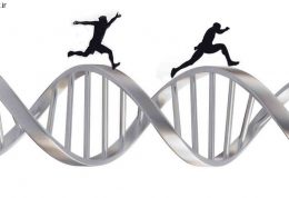 چطوری فعالیت ورزشی میزان DNA ما را تغییر می‌دهد
