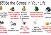 لیست ضد استرس های طبیعی