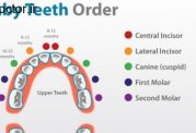 راهنمای تصویری دندان درآوردن کودک