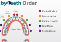راهنمای تصویری دندان درآوردن کودک