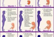 مهمترین دانستنی های خانم ها در سه ماهه اول بارداری