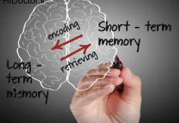 چگونگی عملکرد ذهن و حافظه
