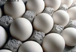 اهمیت مصرف تخم مرغ برای این رنج سنی