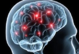 توصیه های متخصصین برای محافظت از مغز