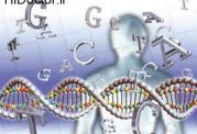 تاثیرات منفی سرب بر ژنتیک