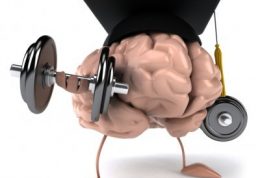 راه و روش های مفید برای محافظت از مغز