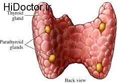 اطلاعاتی جامع در مورد غده تیروئید