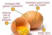 اهمیت استفاده ازتخم مرغ برای کاهش وزن