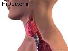 خوراکی های درمان کننده و موثر برای تیروئید