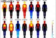 واکنش های احساسی و تغییرات مختلف در بدن