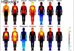 واکنش های احساسی و تغییرات مختلف در بدن