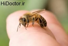 نیش زنبور و این عوارض