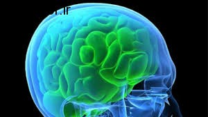 اهمیت درمان به موقع و سریع سکته مغزی