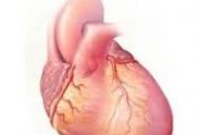پیشگیری از بیماری قلبی با ارتباط جنسی سالم