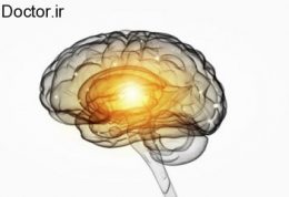 مغز در ساعات مختلف روز