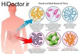 ارتباط باکتری های روده و این بیماری