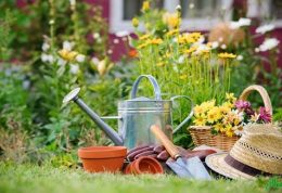 کسب انرژی مثبت با باغبانی