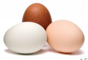 شایعات و گفته های نادرست درباره مصرف تخم مرغ