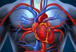 روش های کاربردی برای بهبود عملکرد قلب