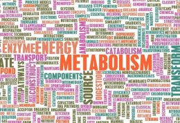 چه عادت هایی متابولیسم بدن را تقویت می کنند