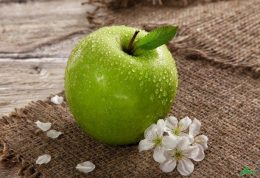 8 دلیل برای اینکه هر روز سیب سبز میل کنید