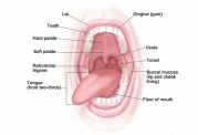 نشانه های بیماری جسمی در دهان