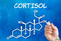 هورمون کورتیزول و کنترل سطح آن
