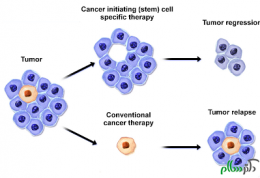 درمان سرطان با بیوتراپی و ایمونوتراپی