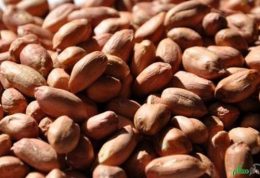 مصرف بادام زمینی مؤثر در سلامت قلب