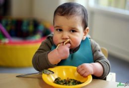 خوراکی هایی که برای نوزادان ممنوعیت دارد