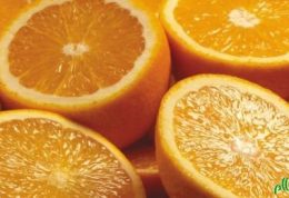 پرتقال را از یاد نبرید